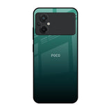 Palm Green Poco M5 Glass Back Cover Online