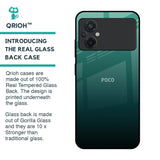 Palm Green Glass Case For Poco M5