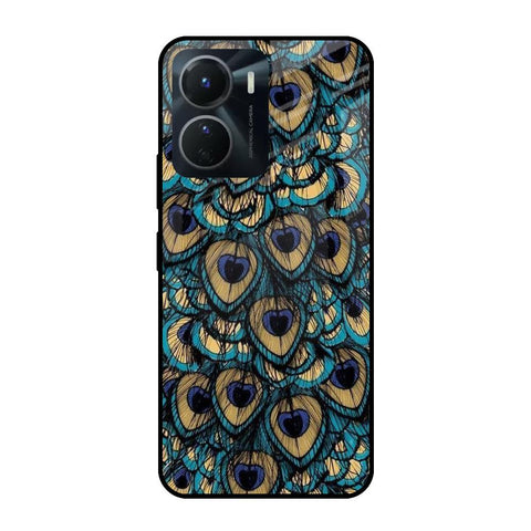 Peacock Feathers Vivo Y16 Glass Cases & Covers Online