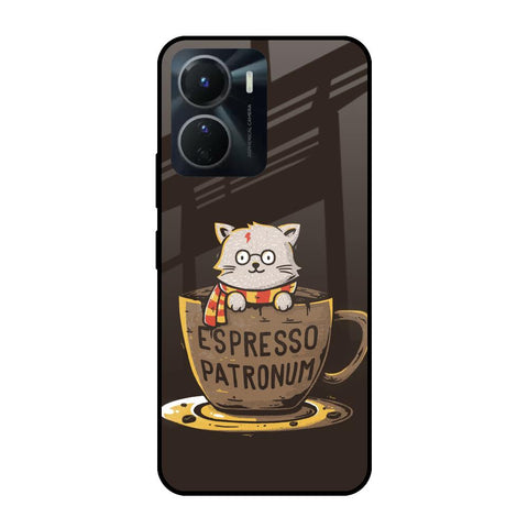 Tea With Kitty Vivo Y16 Glass Cases & Covers Online