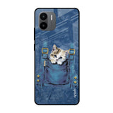 Kitty In Pocket Redmi A1 Glass Cases & Covers Online