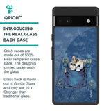 Kitty In Pocket Glass Case for Google Pixel 6a