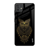 Golden Owl Samsung Galaxy M13 5G Glass Back Cover Online