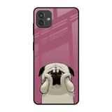 Funny Pug Face Samsung Galaxy M13 5G Glass Back Cover Online