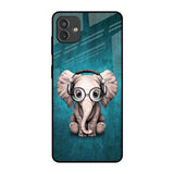 Adorable Baby Elephant Samsung Galaxy M13 5G Glass Back Cover Online