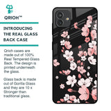 Black Cherry Blossom Glass Case for Samsung Galaxy M13 5G