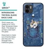 Kitty In Pocket Glass Case For Redmi A1 Plus