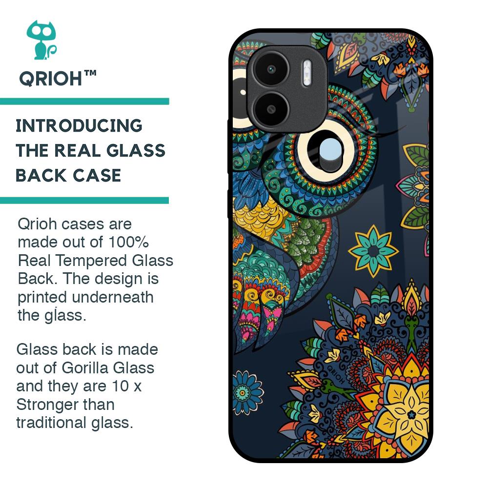 Owl Art Glass Case for Redmi A1 Plus