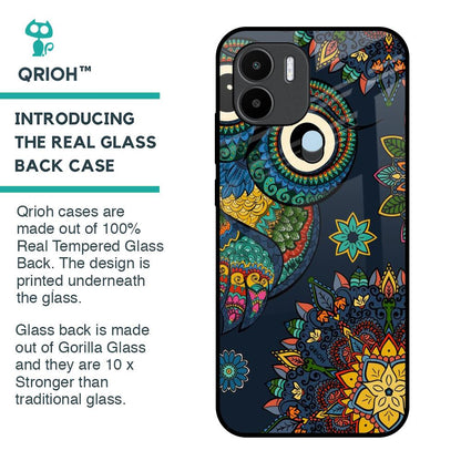 Owl Art Glass Case for Redmi A1 Plus