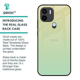 Mint Green Gradient Glass Case for Redmi A1 Plus