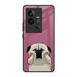 Funny Pug Face iQOO 11 Glass Back Cover Online