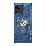 Kitty In Pocket Motorola Edge 30 Ultra Glass Back Cover Online