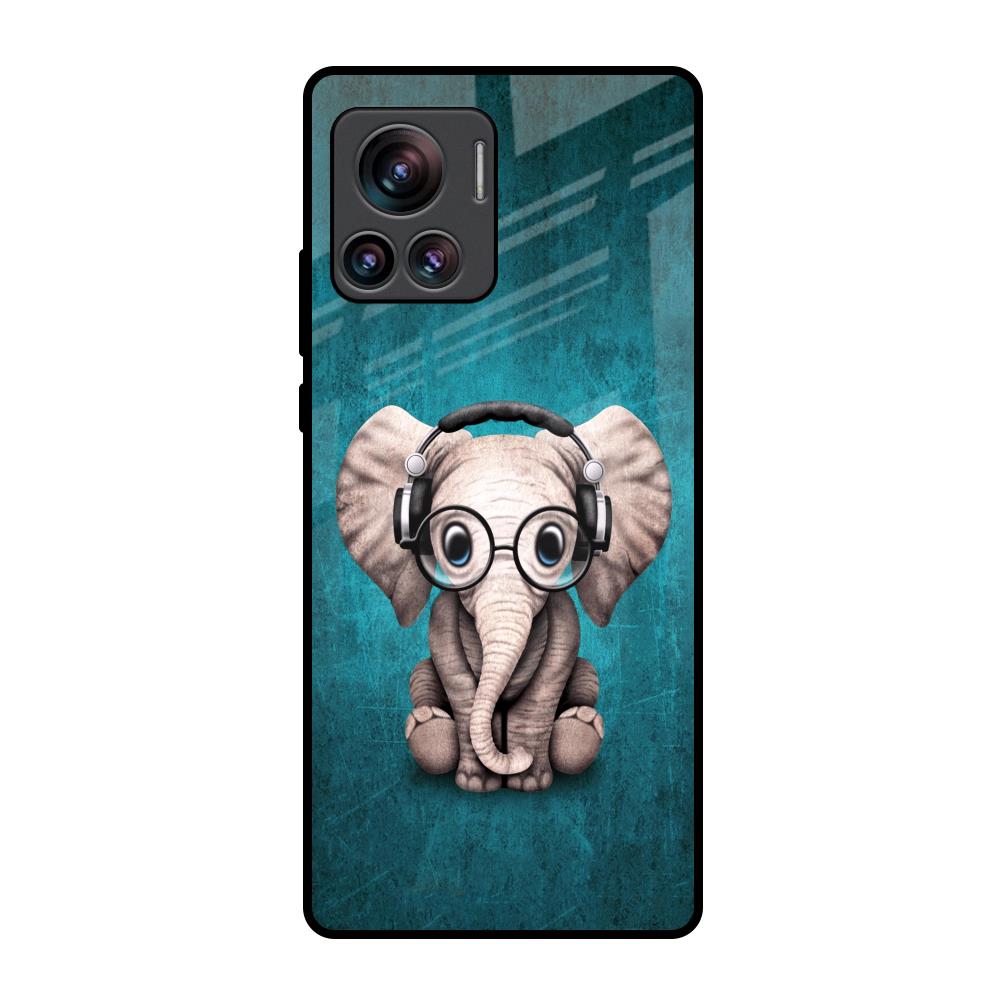 Adorable Baby Elephant Motorola Edge 30 Ultra Glass Back Cover Online