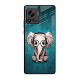 Adorable Baby Elephant Motorola Edge 30 Ultra Glass Back Cover Online
