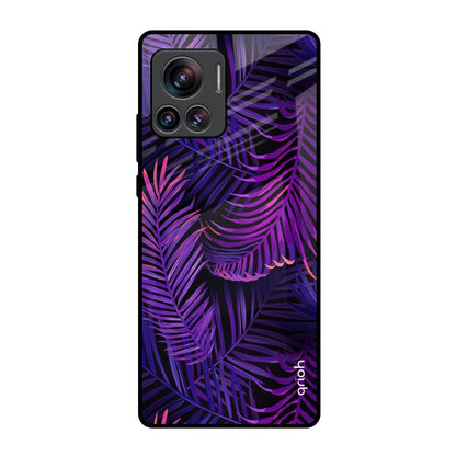 Plush Nature Motorola Edge 30 Ultra Glass Back Cover Online
