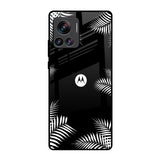 Zealand Fern Design Motorola Edge 30 Ultra Glass Back Cover Online