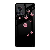 Fly Butterfly Motorola Edge 30 Ultra Glass Back Cover Online