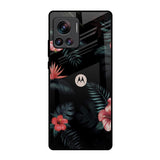 Tropical Art Flower Motorola Edge 30 Ultra Glass Back Cover Online