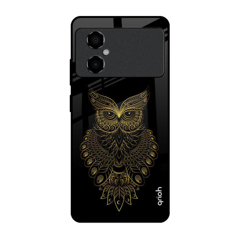 Golden Owl Poco M4 5G Glass Back Cover Online
