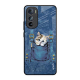 Kitty In Pocket Motorola Edge 30 Glass Back Cover Online
