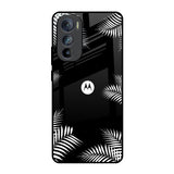 Zealand Fern Design Motorola Edge 30  Glass Back Cover Online