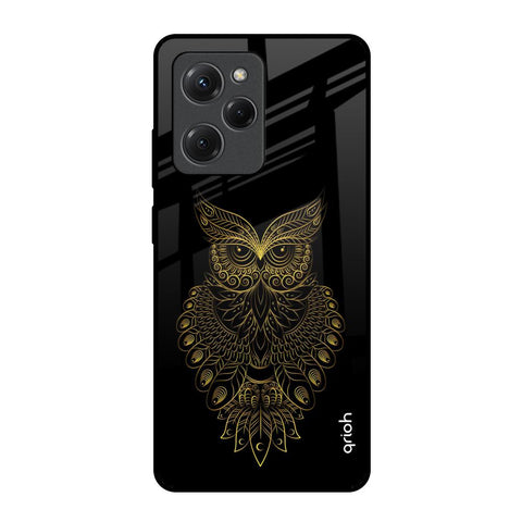 Golden Owl Poco X5 Pro 5G Glass Back Cover Online