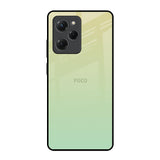 Mint Green Gradient Poco X5 Pro 5G Glass Back Cover Online