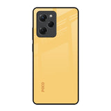 Dandelion Poco X5 Pro 5G Glass Back Cover Online