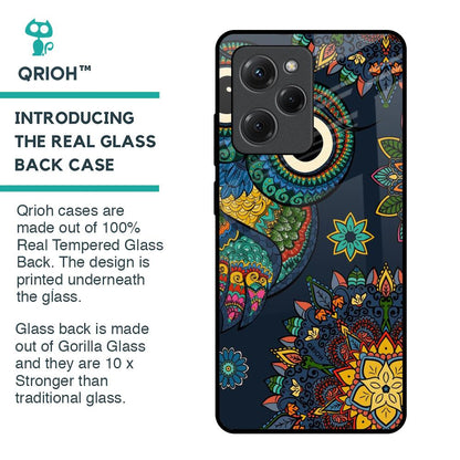 Owl Art Glass Case for Poco X5 Pro 5G