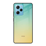 Cool Breeze Poco X5 Pro 5G Glass Cases & Covers Online