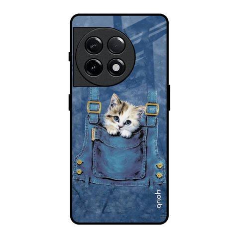 Kitty In Pocket OnePlus 11R 5G Glass Back Cover Online