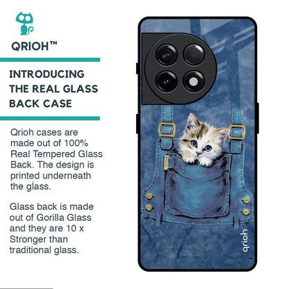 Kitty In Pocket Glass Case For OnePlus 11R 5G