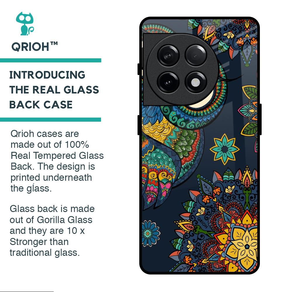 Owl Art Glass Case for OnePlus 11R 5G