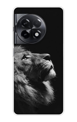 Lion Looking to Sky OnePlus 11R 5G Back Cover