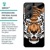 Angry Tiger Glass Case For Vivo Y100 5G