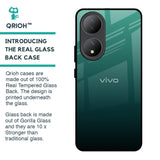 Palm Green Glass Case For Vivo Y100 5G