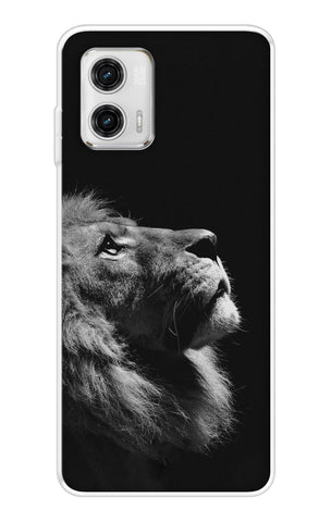 Lion Looking to Sky Motorola G73 5G Back Cover