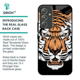 Angry Tiger Glass Case For Samsung Galaxy A54 5G