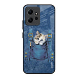 Kitty In Pocket Redmi Note 12 Glass Back Cover Online