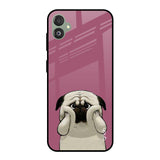 Funny Pug Face Samsung Galaxy F14 5G Glass Back Cover Online