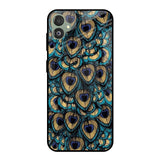 Peacock Feathers Samsung Galaxy F14 5G Glass Cases & Covers Online