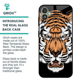 Angry Tiger Glass Case For Samsung Galaxy F14 5G