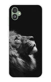 Lion Looking to Sky Samsung Galaxy F14 5G Back Cover