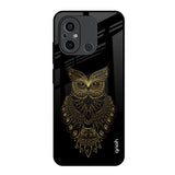 Golden Owl Redmi 12C Glass Back Cover Online