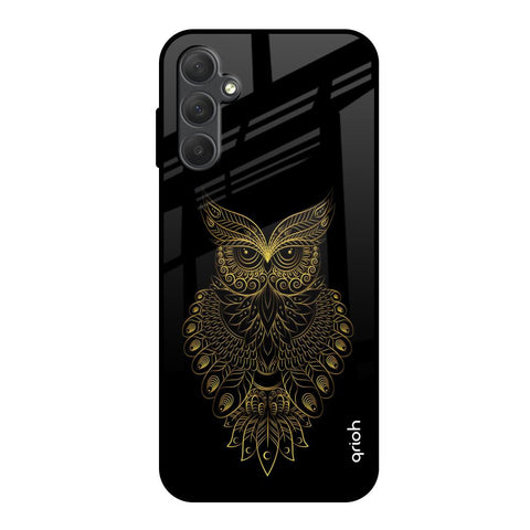 Golden Owl Samsung Galaxy M14 5G Glass Back Cover Online
