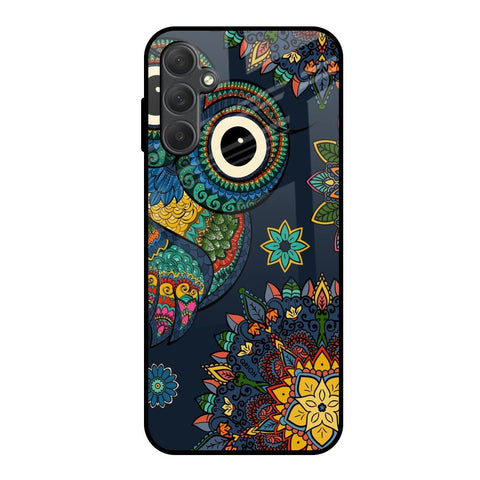 Owl Art Samsung Galaxy M14 5G Glass Back Cover Online