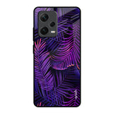 Plush Nature Redmi Note 12 Pro Plus 5G Glass Back Cover Online