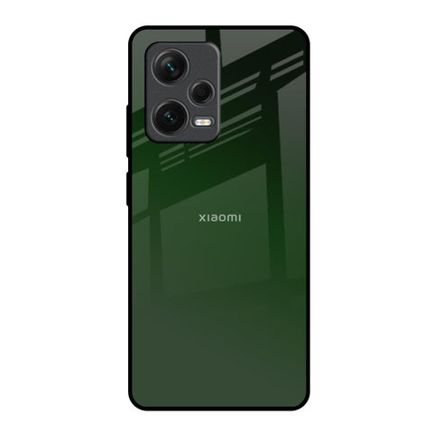 Deep Forest Redmi Note 12 Pro Plus 5G Glass Back Cover Online