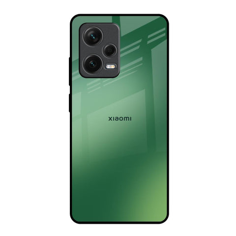 Green Grunge Texture Redmi Note 12 Pro Plus 5G Glass Back Cover Online