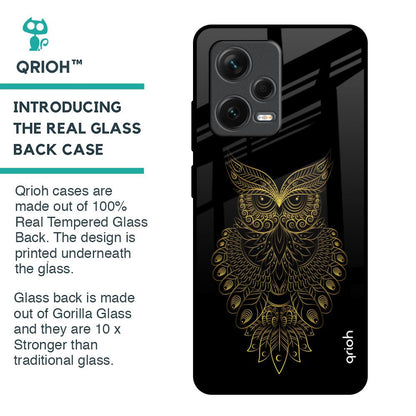 Golden Owl Glass Case for Redmi Note 12 Pro Plus 5G
